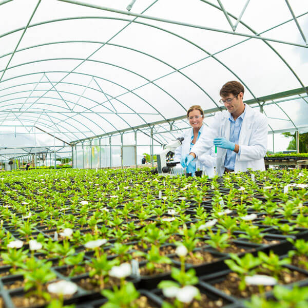 scientists in a greenhouse testing soil and compost