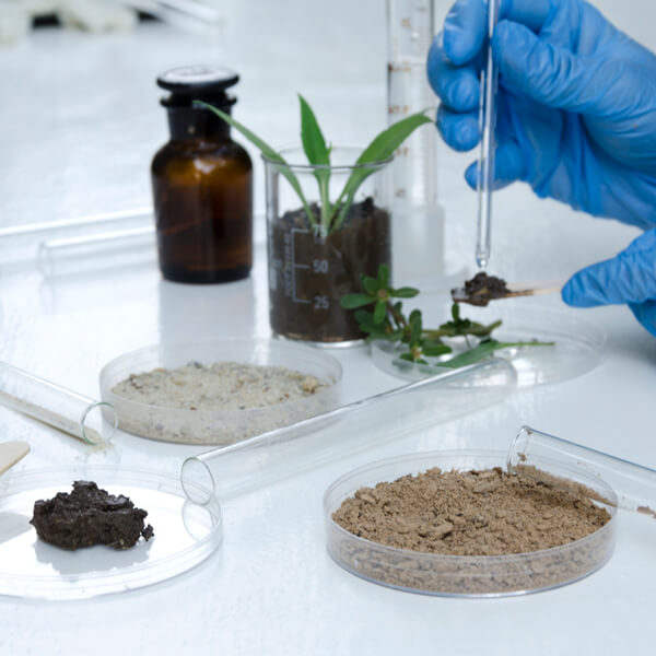 gloved hands testing different soils, sediments, and plants