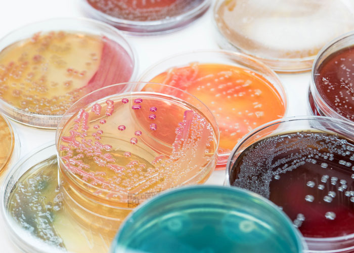 1_Environmental-Micro